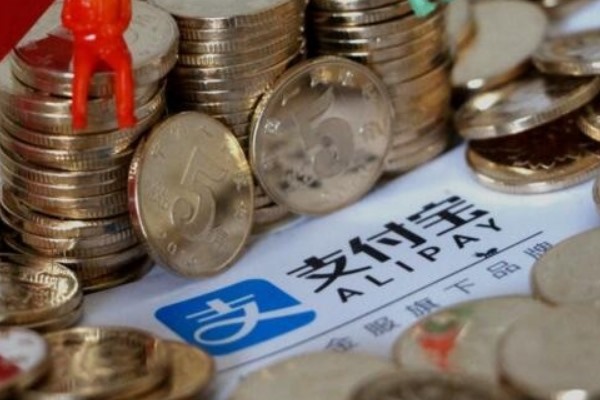 本人已实名的手机号是什么?